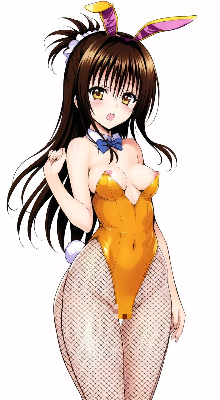 Mikan Bunnysuit