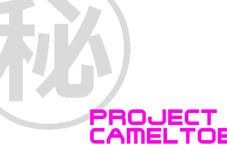 「Project CAMELTOE」その２
