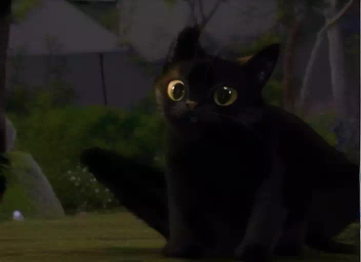Toothless as cat