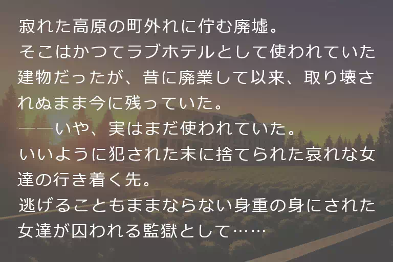 セリーヌの孕婦よ安らかに①　妹尾透子