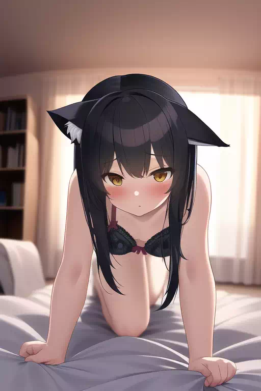 休みの夜は猫に癒されよう