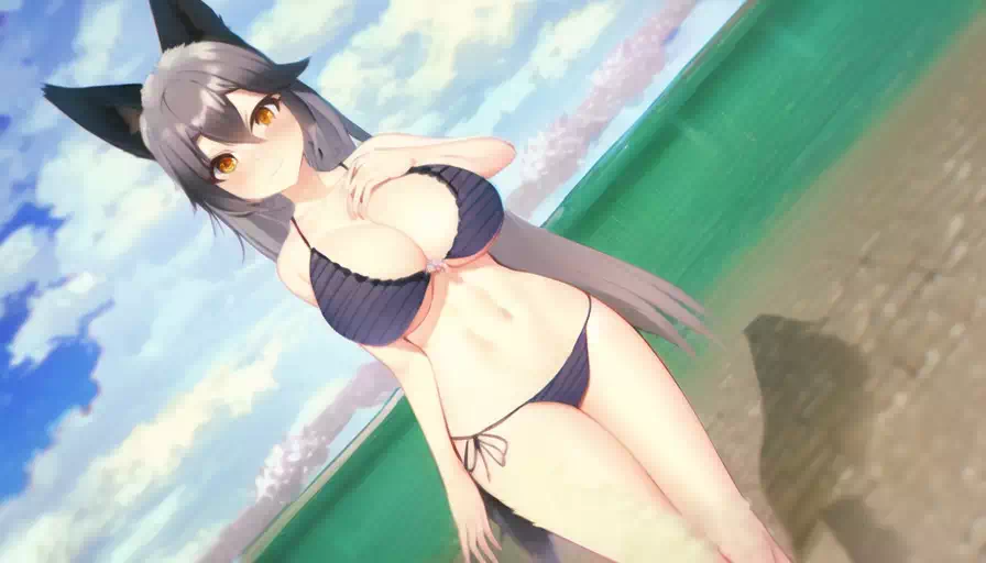 ギンギツネ &#038; キタキツネ