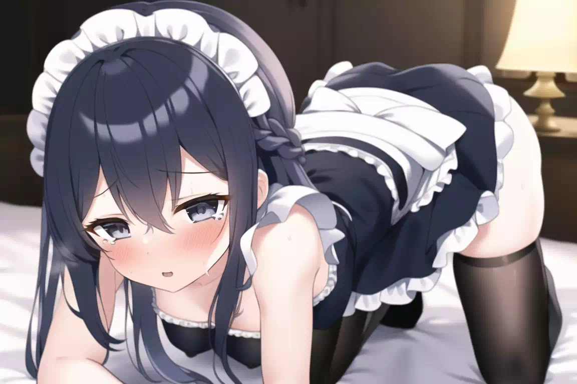 [NovelAI] メイドさん・四つん這い・事前？