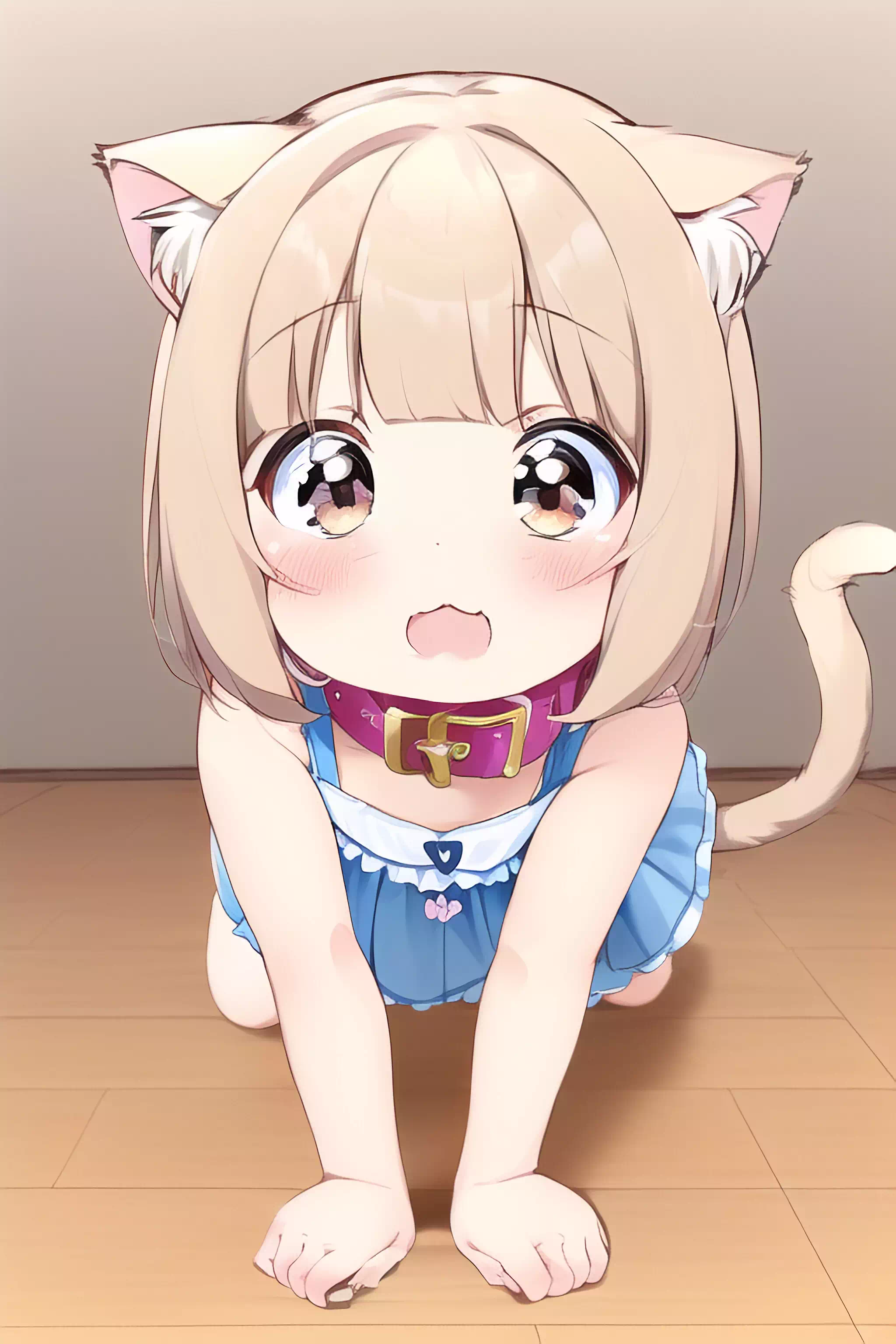 飼い猫娘