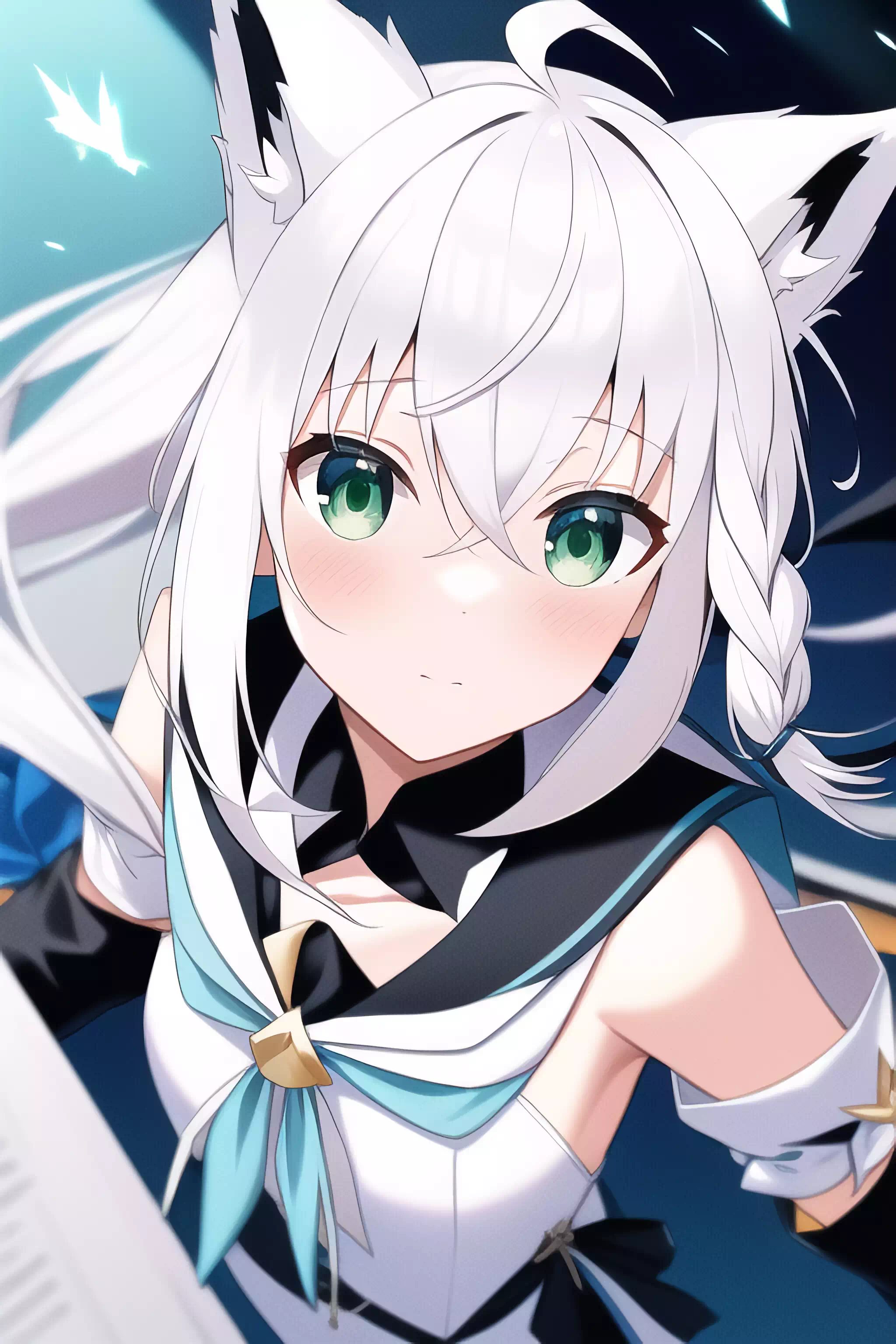 こんこんき?つね！