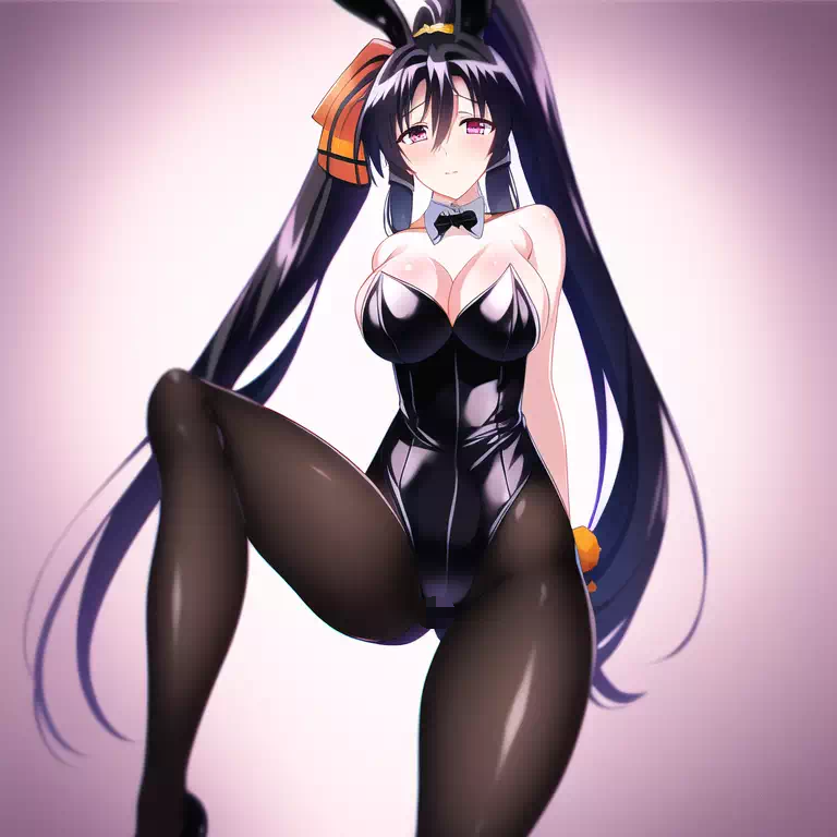 Himejima Akeno bunny suit